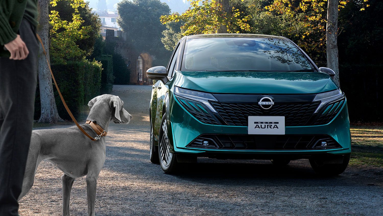 日産オーラは本当にうるさい？実際の声と原因を解説