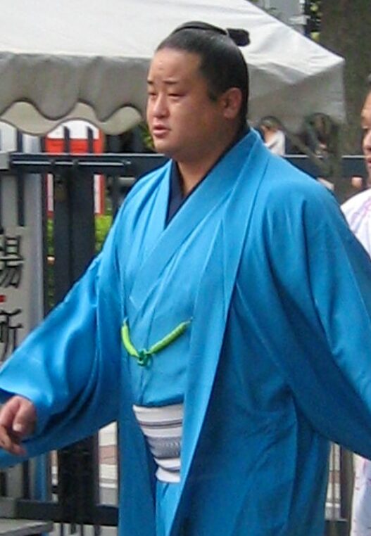 元力士若麒麟なぜ再逮捕｜理由とは？過去の番付・成績など徹底調査