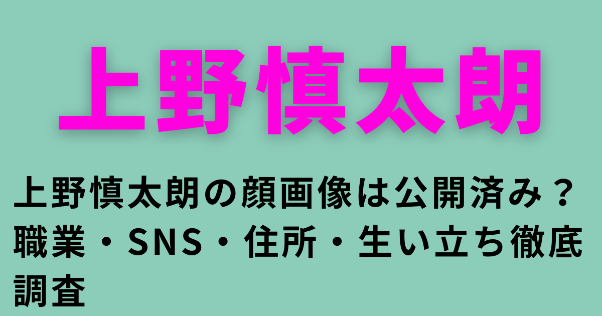 上野慎太朗の顔画像は公開済み？職業・SNS・住所・生い立ち徹底調査