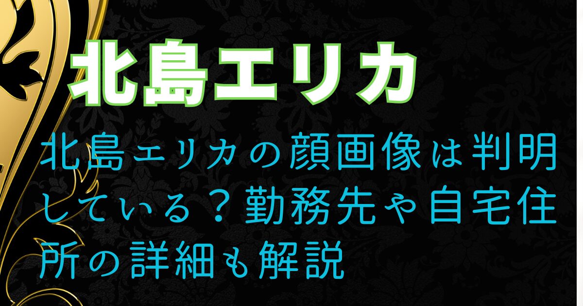 北島エリカの顔画像は判明している?勤務先や自宅住所の詳細も解説