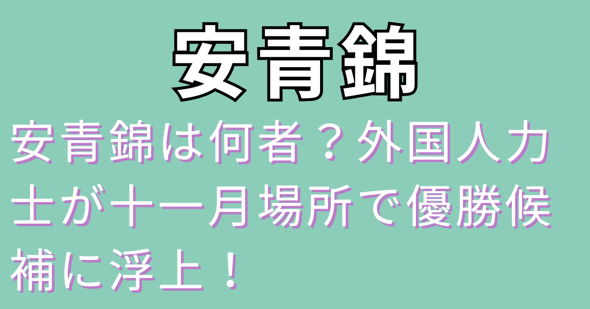 安青錦は何者？外国人力士が十一月場所で優勝候補に浮上！