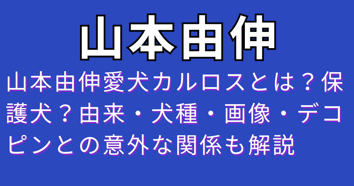 山本由伸愛犬カルロスとは？保護犬？由来・犬種・画像・デコピンとの意外な関係も解説